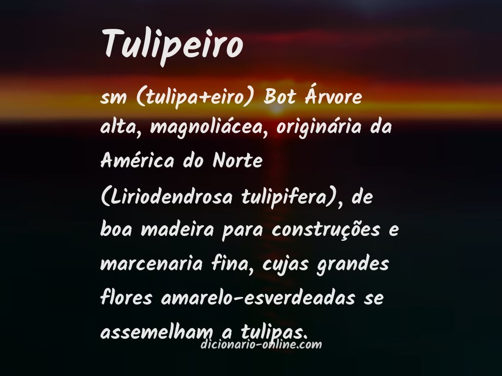 Significado de tulipeiro