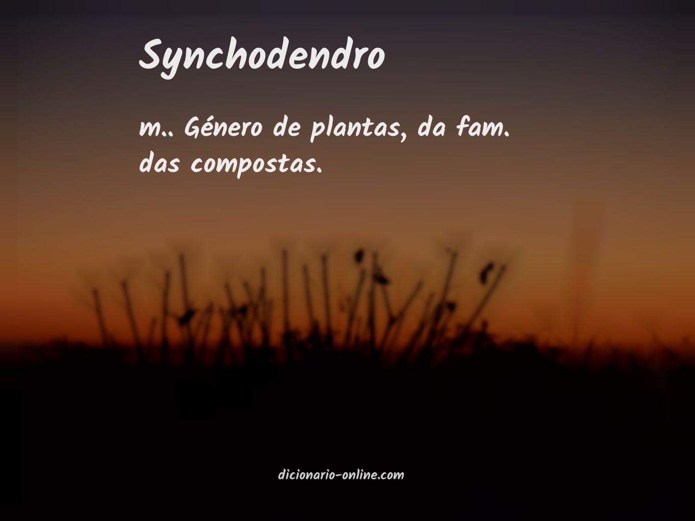 Significado de synchodendro