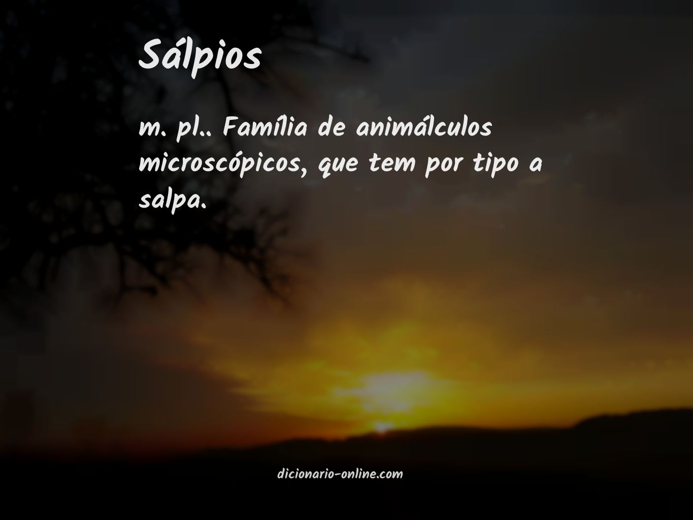 Significado de sálpios