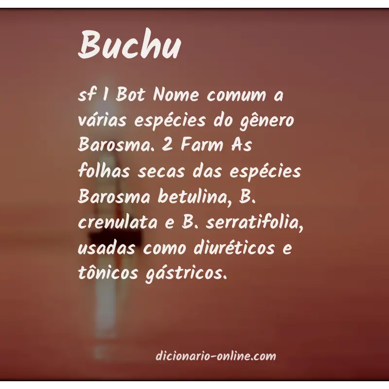 Significado de buchu