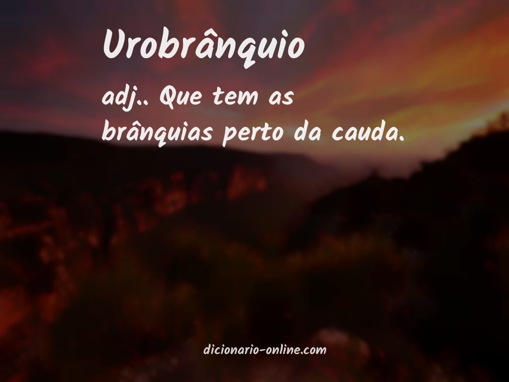 Significado de urobrânquio