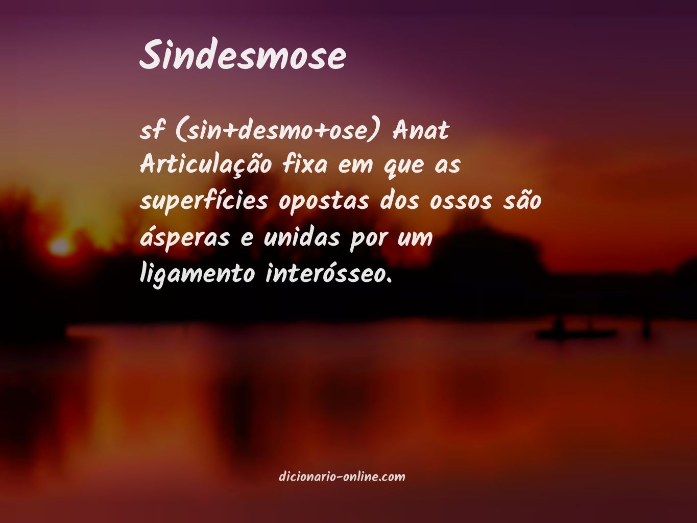 Significado de sindesmose