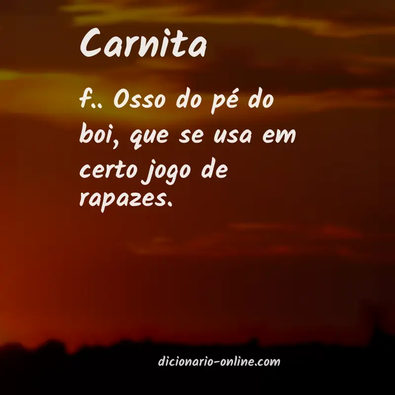 Significado de carnita