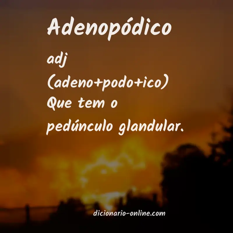 Significado de adenopódico