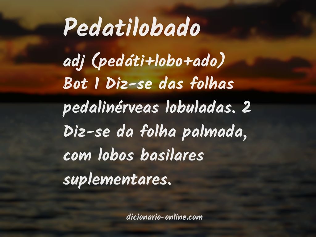 Significado de pedatilobado