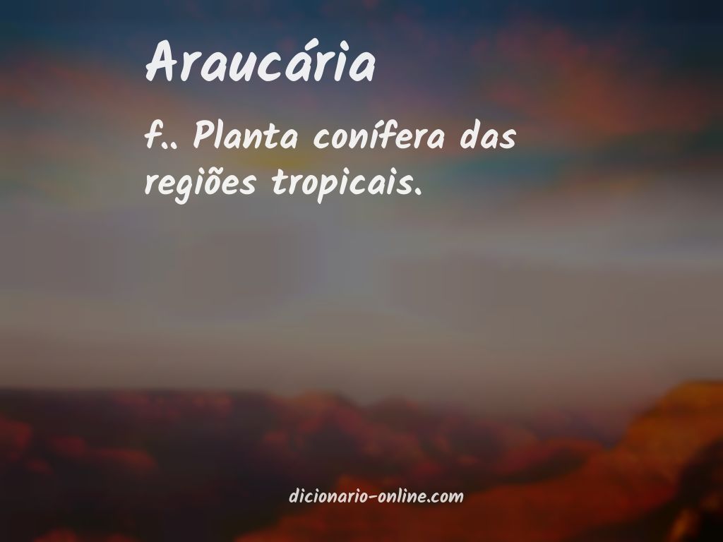 Significado de araucária