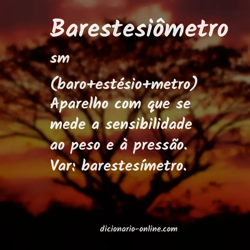 Significado de barestesiômetro