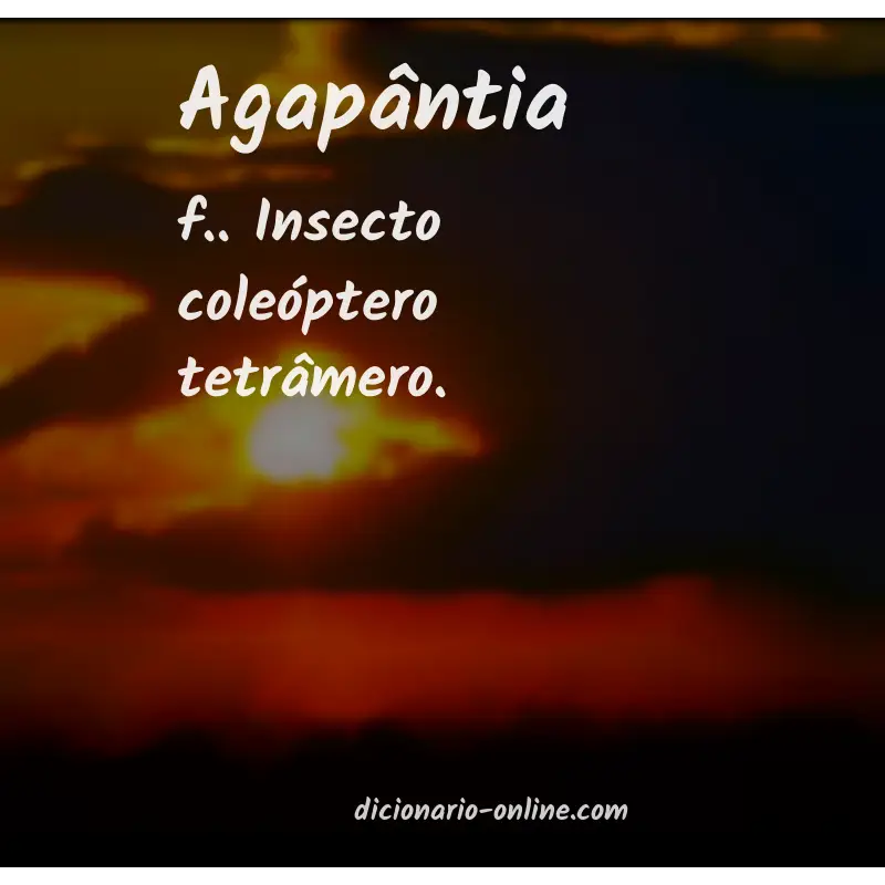 Significado de agapântia