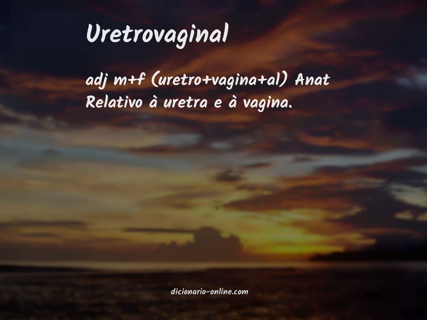 Significado de uretrovaginal