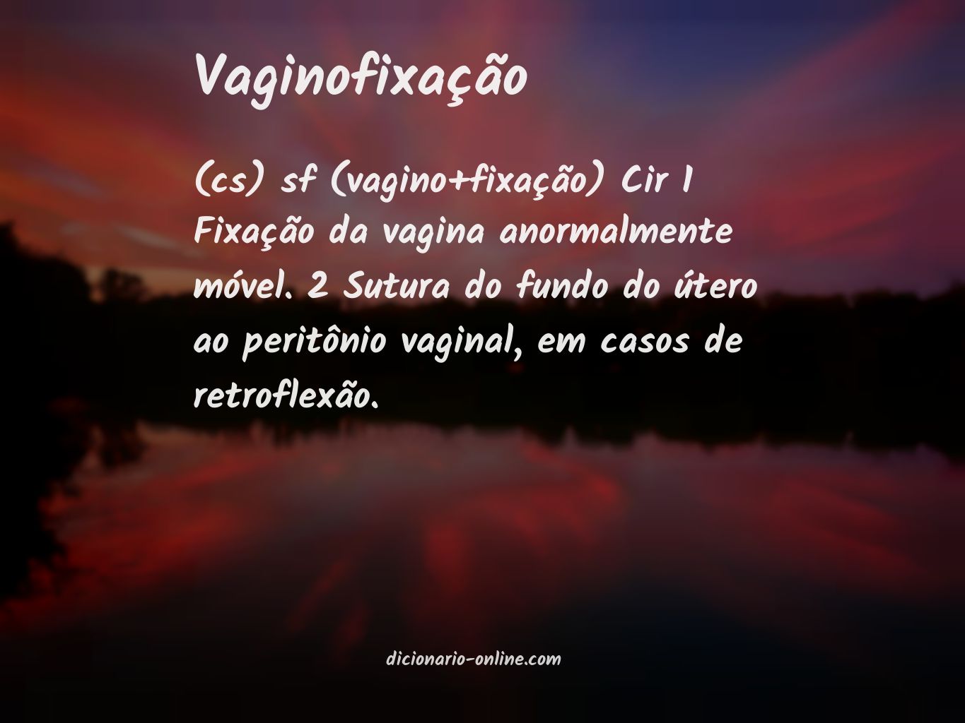 Significado de vaginofixação