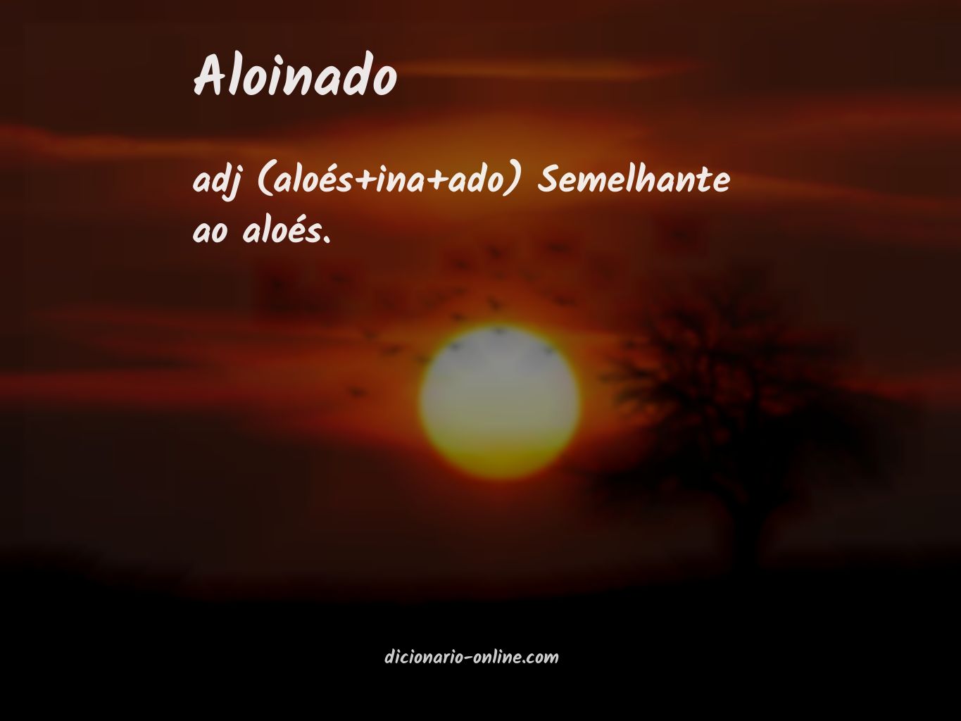 Significado de aloinado