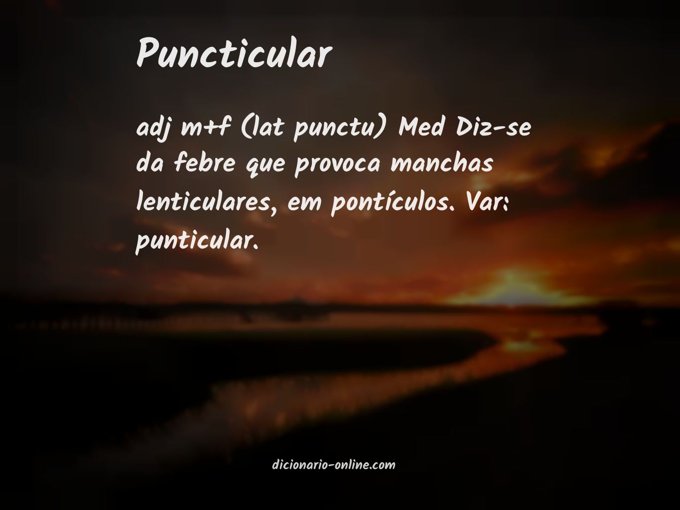 Significado de puncticular