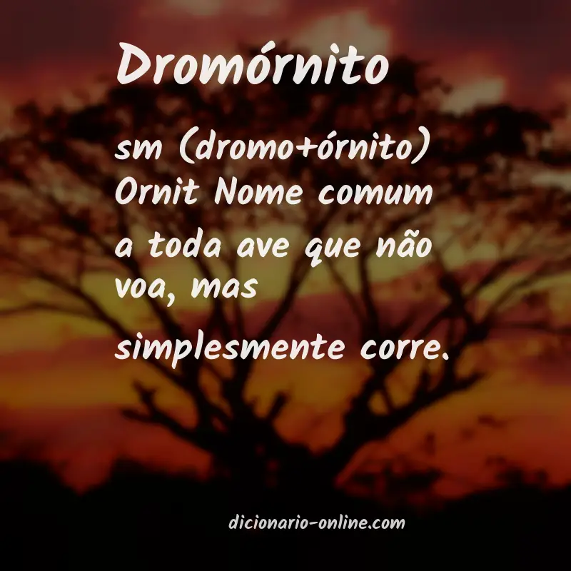 Significado de dromórnito