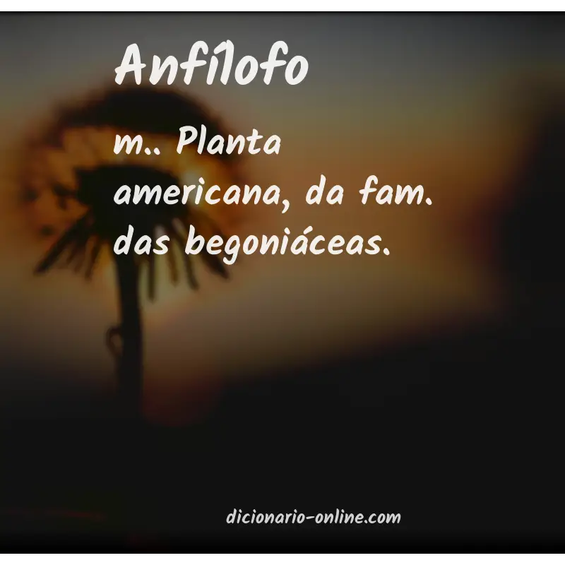 Significado de anfílofo