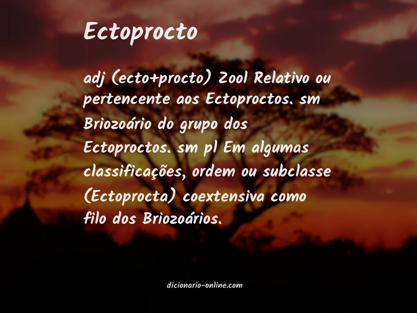 Significado de ectoprocto