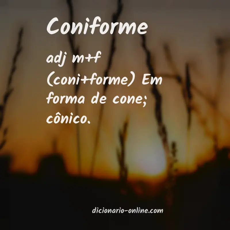 Significado de coniforme