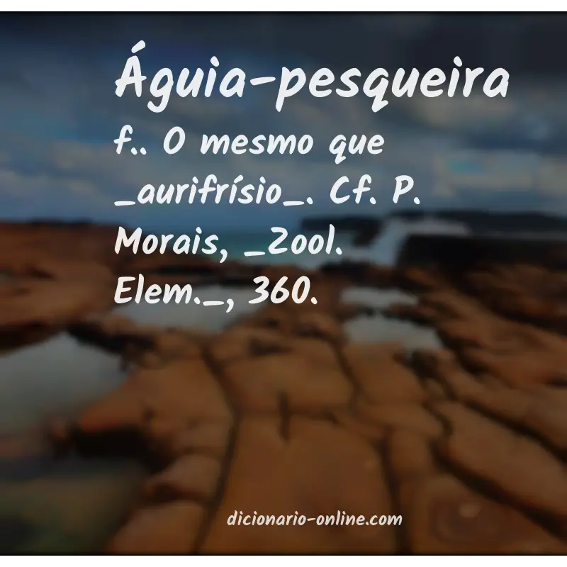 Significado de águia-pesqueira