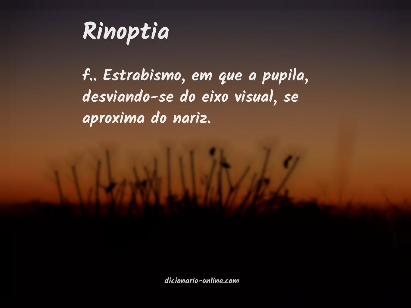 Significado de rinoptia