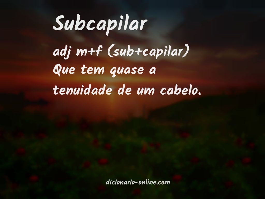 Significado de subcapilar