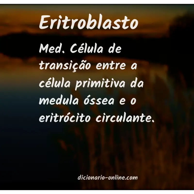 Significado de eritroblasto