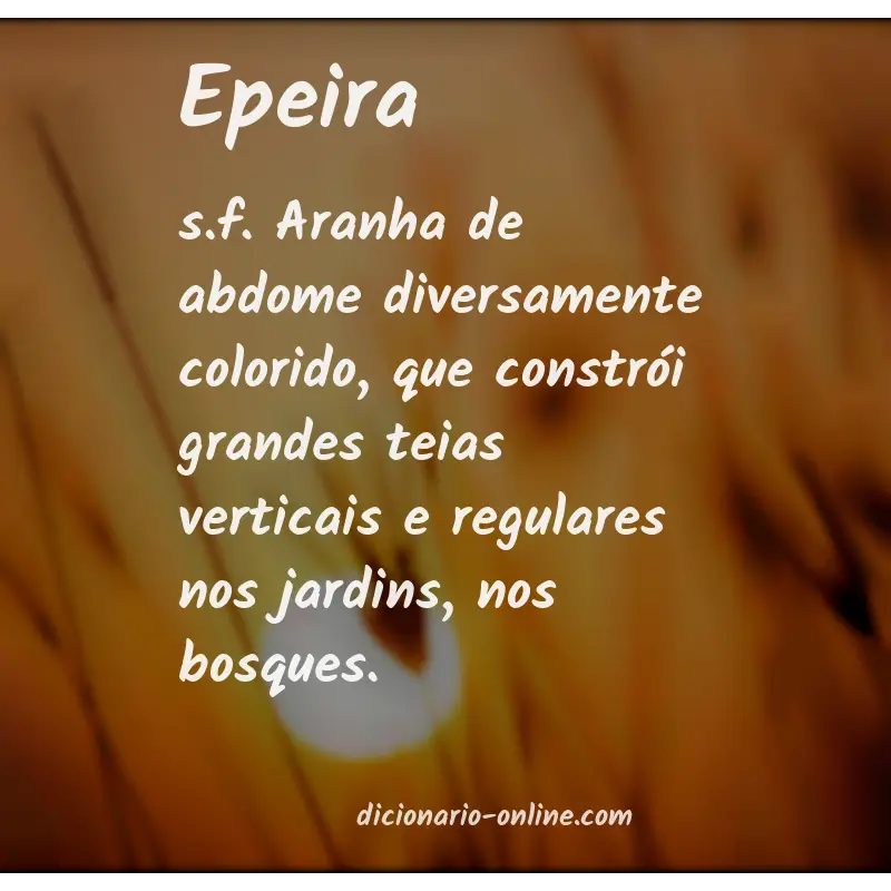 Significado de epeira