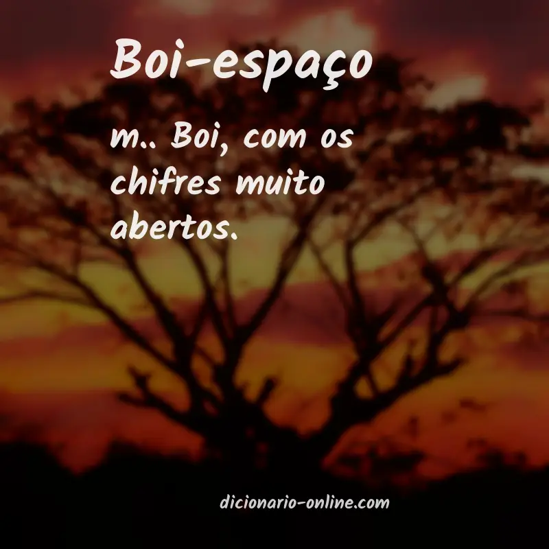 Significado de boi-espaço