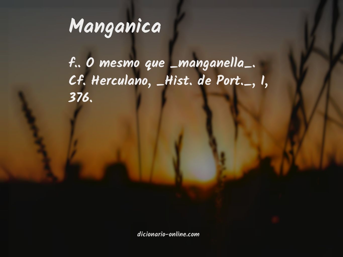 Significado de manganica