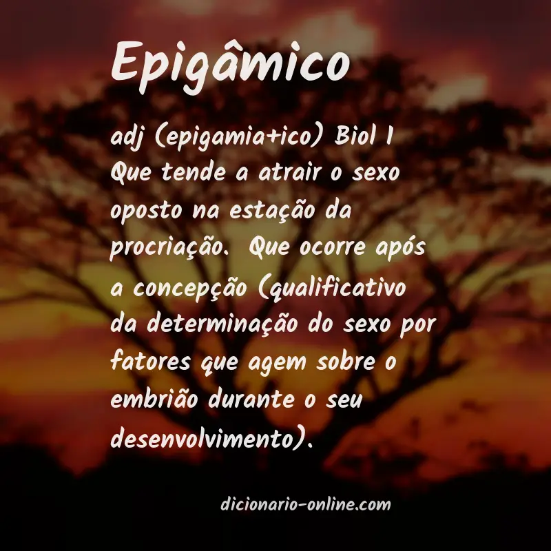 Significado de epigâmico