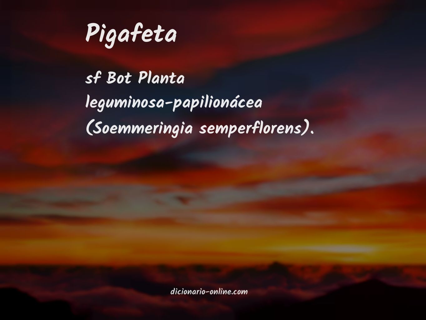 Significado de pigafeta