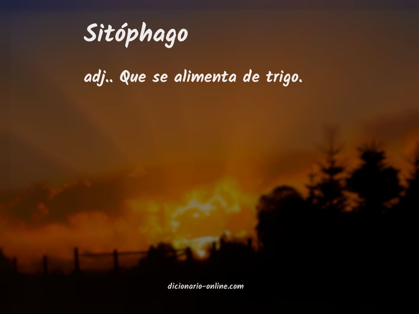 Significado de sitóphago