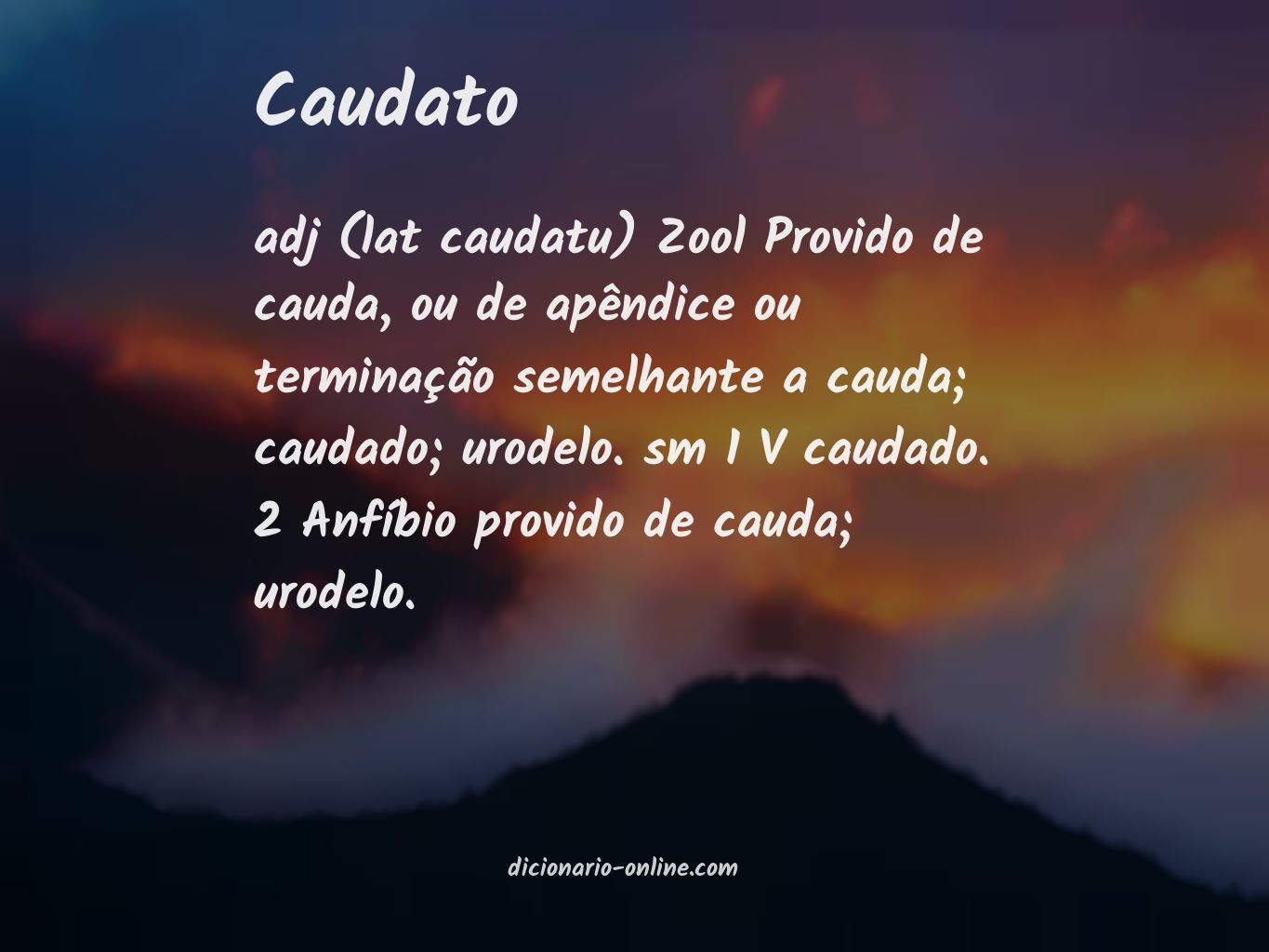 Significado de caudato