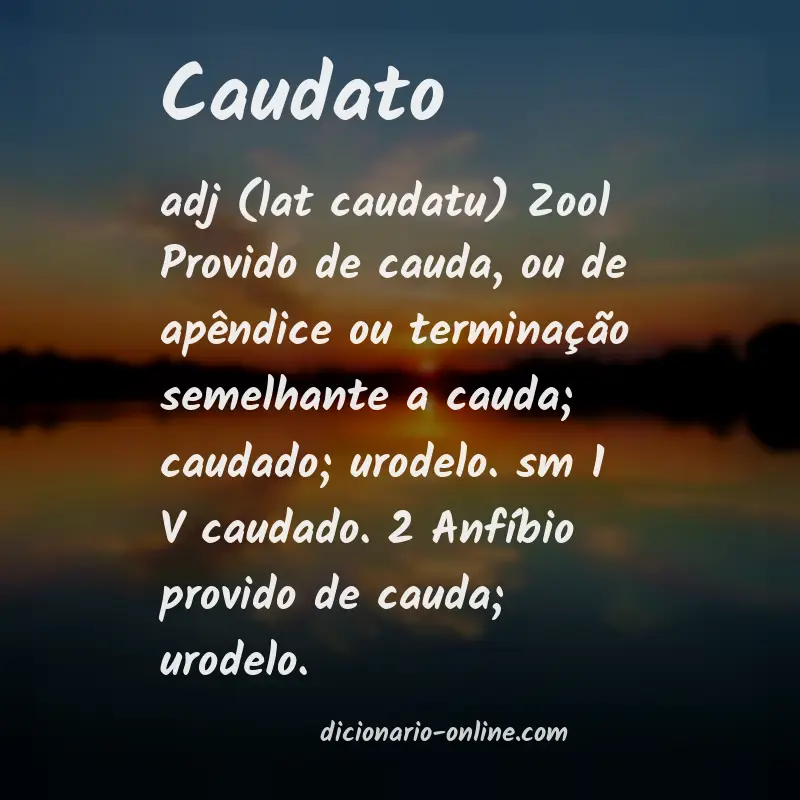 Significado de caudato
