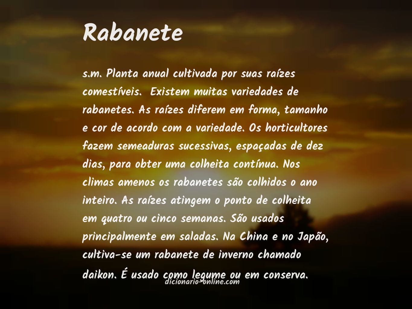 Significado de rabanete