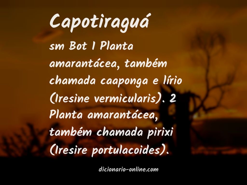 Significado de capotiraguá