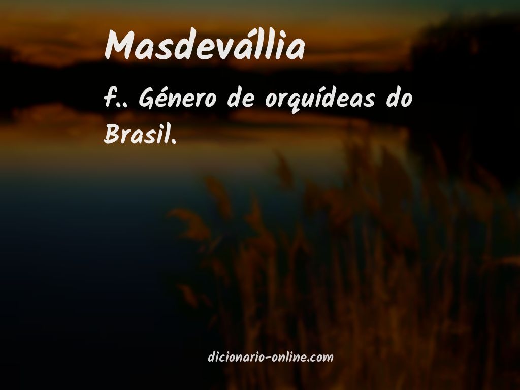 Significado de masdevállia