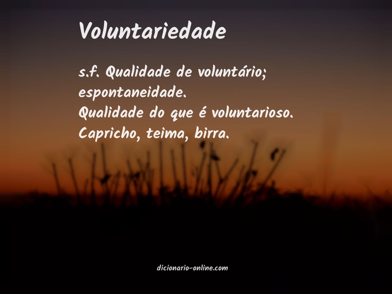 Significado de voluntariedade