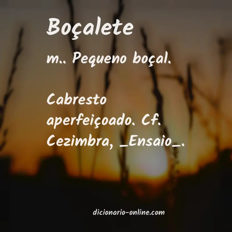 Significado de boçalete