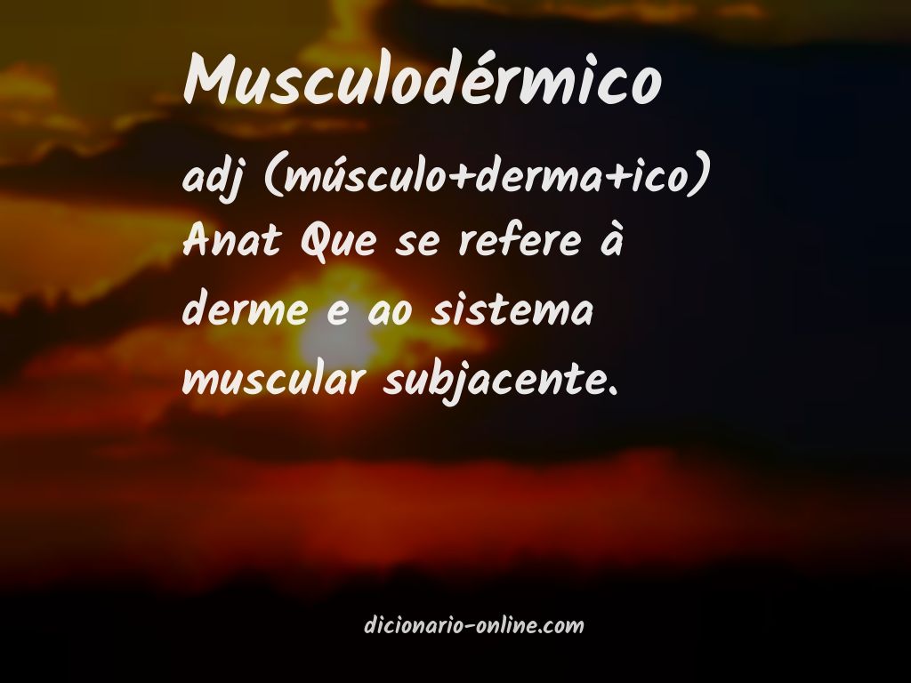 Significado de musculodérmico