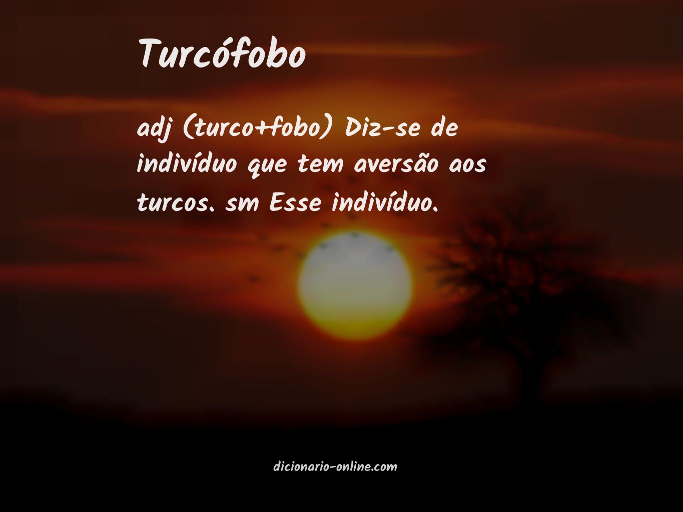 Significado de turcófobo