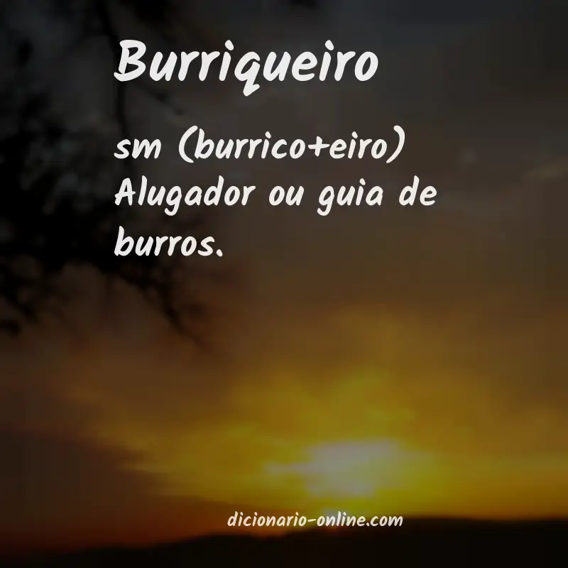 Significado de burriqueiro