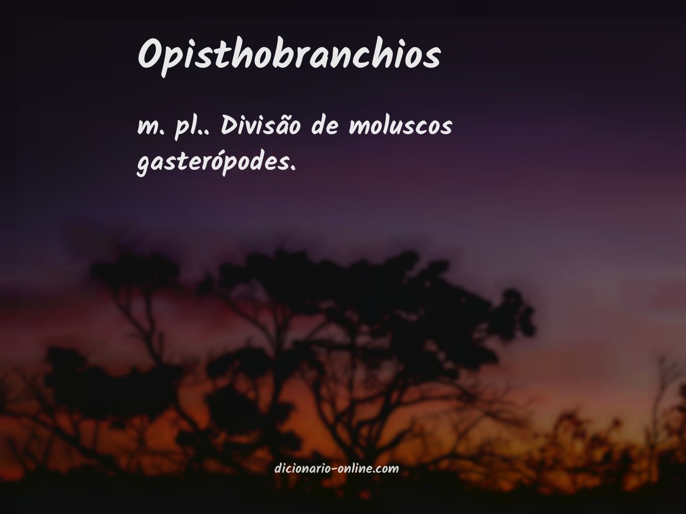 Significado de opisthobranchios