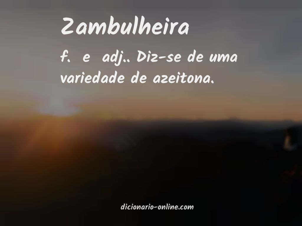 Significado de zambulheira