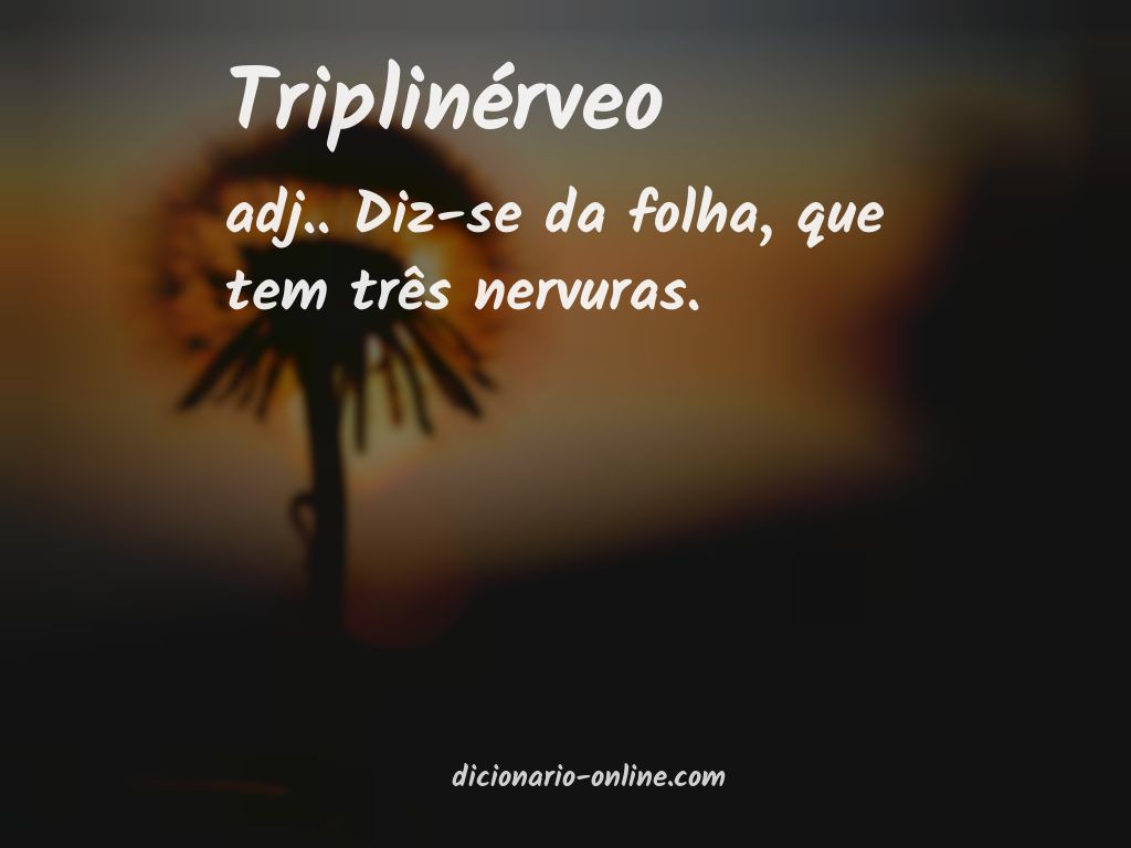 Significado de triplinérveo