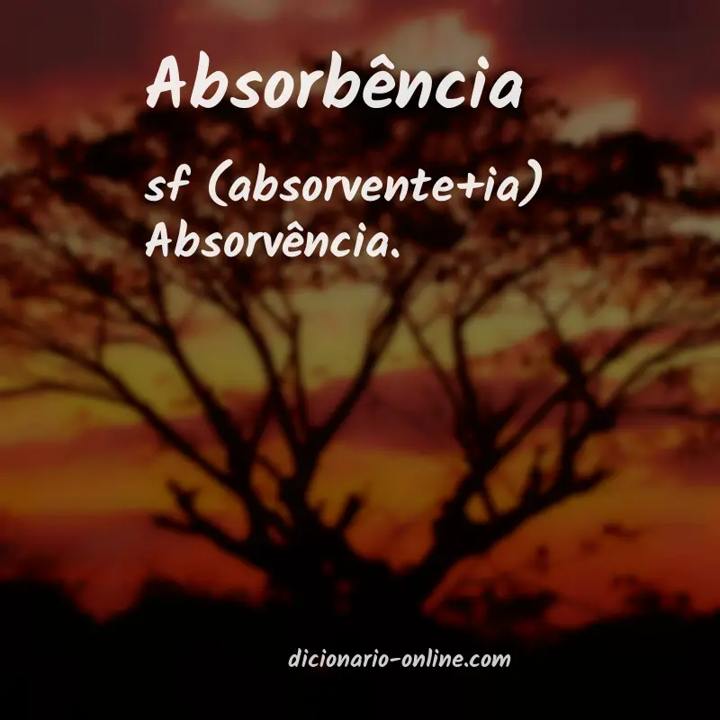 Significado de absorbência