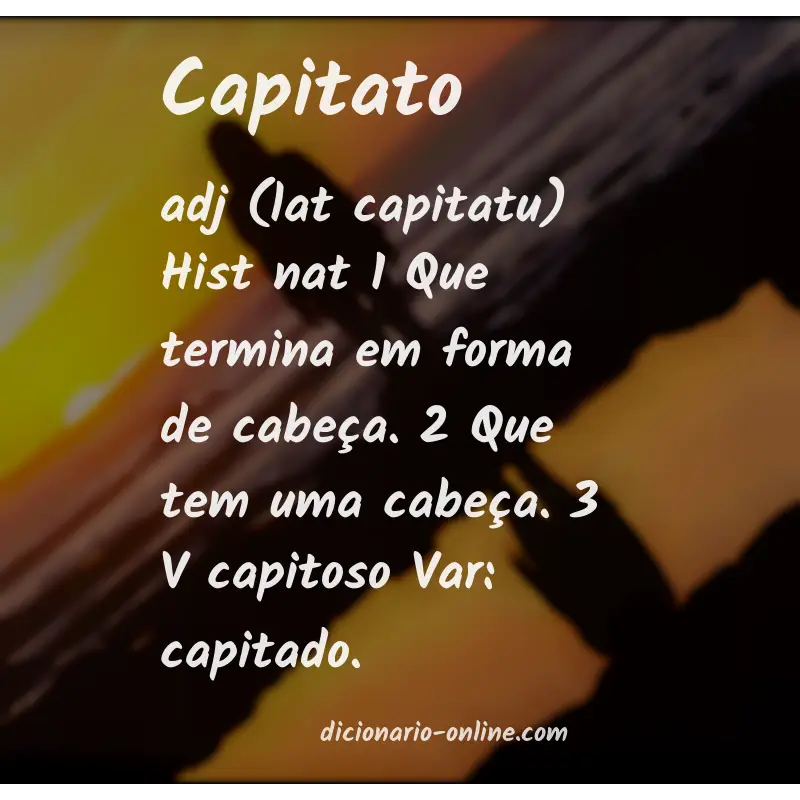 Significado de capitato
