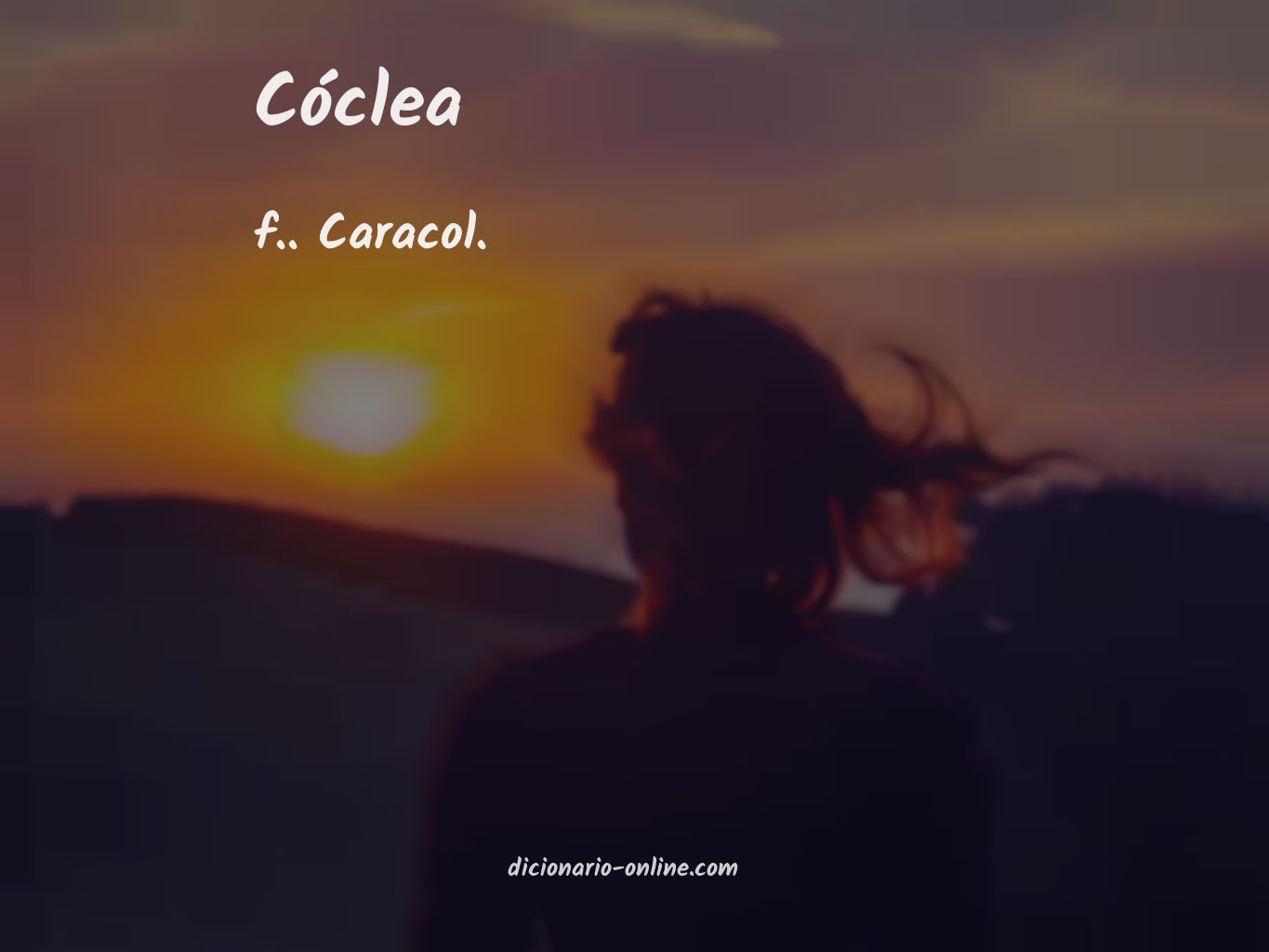 Significado de cóclea