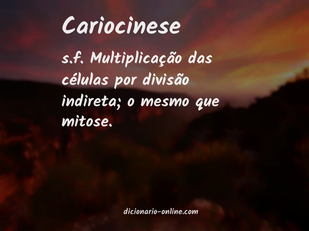 Significado de cariocinese