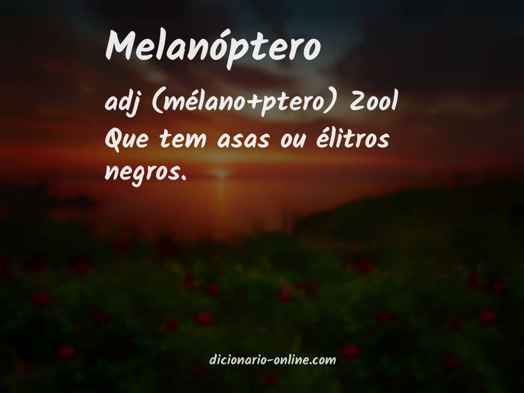 Significado de melanóptero