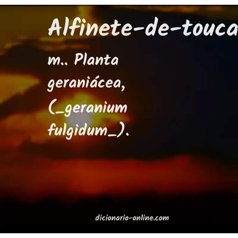 Significado de alfinete-de-toucar