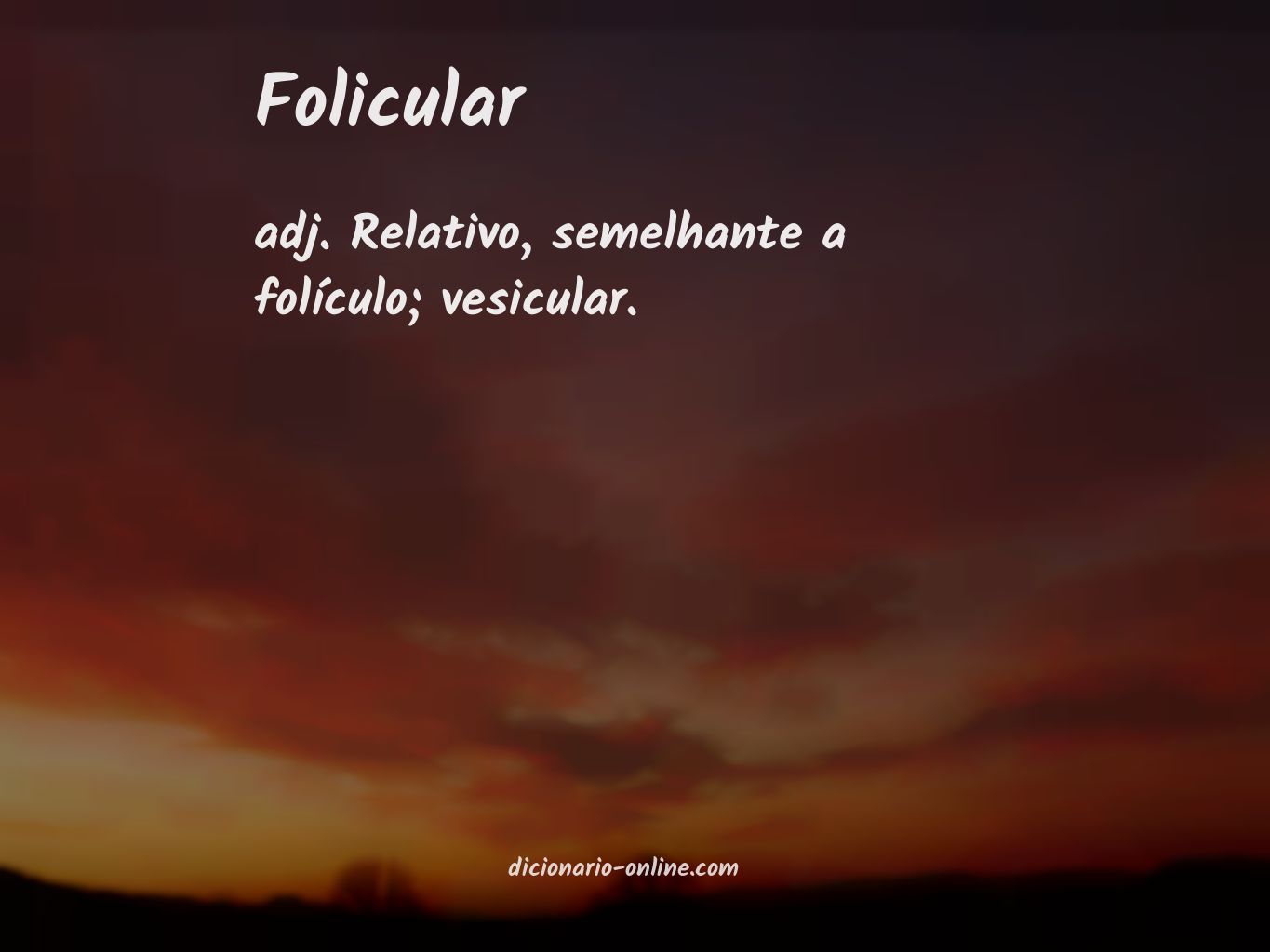 Significado de folicular